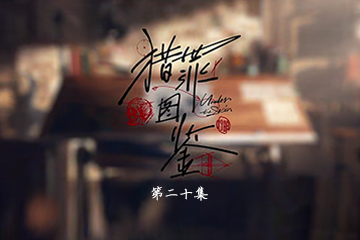 猎罪图鉴 20